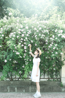 8888888888免費觀看電視劇大全最新更新