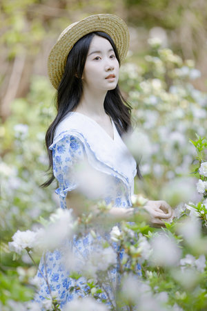 一本之道高清在線不卡視頻