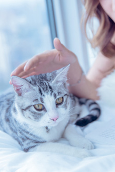 97人人免費精品