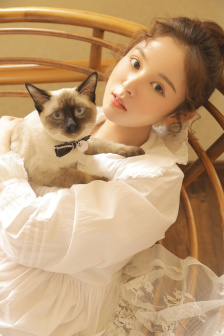 堅如磐石在線觀看免費版