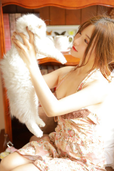 征服愛情在線觀看