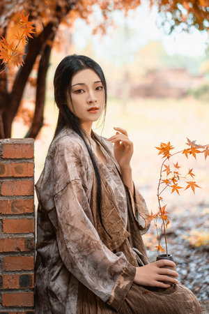 九重紫電視劇免費觀看全集在線播放