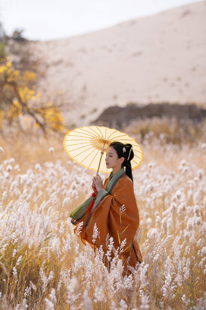 葫蘆娃動畫片第二部