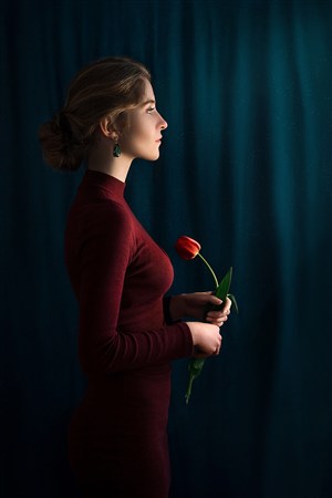 第二十條免費觀看完整版高清