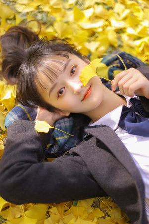 獵冰電視劇全集高清免費播放