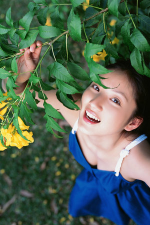 傾城雪什么時候播