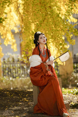 林志穎電視劇全集