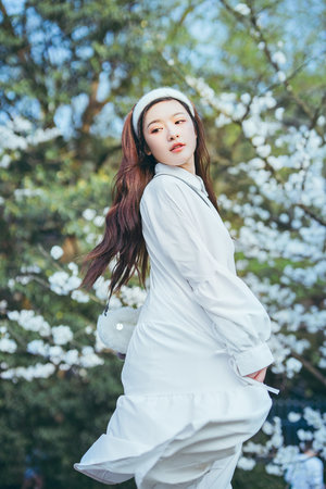 大魚海棠在線觀看免費版完整版