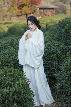 成色18K1.8811.7V18K1.8811.7V